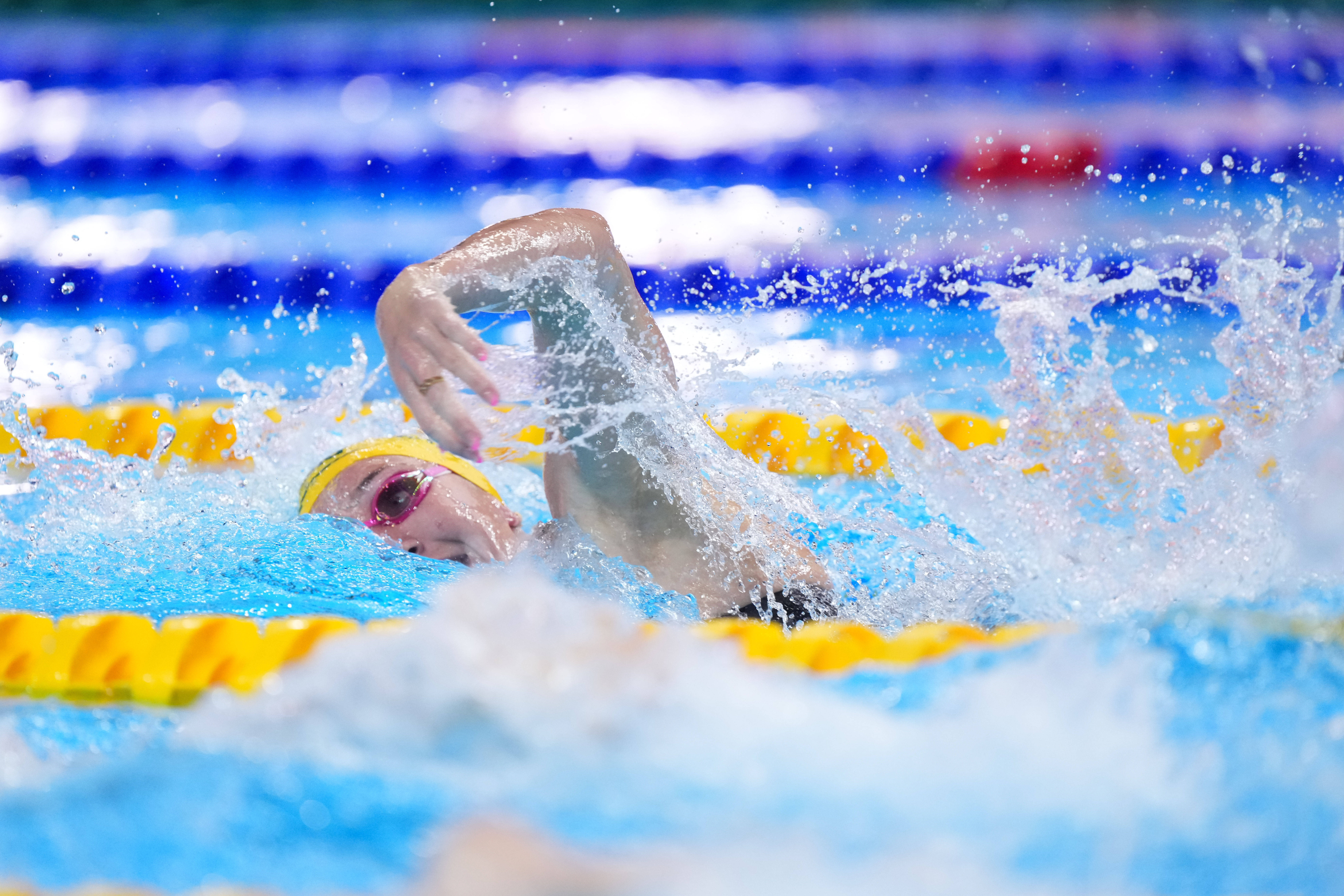 关于澳大利亚游泳选手在自由泳项目中表现亮眼的信息